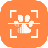 PetLays logo